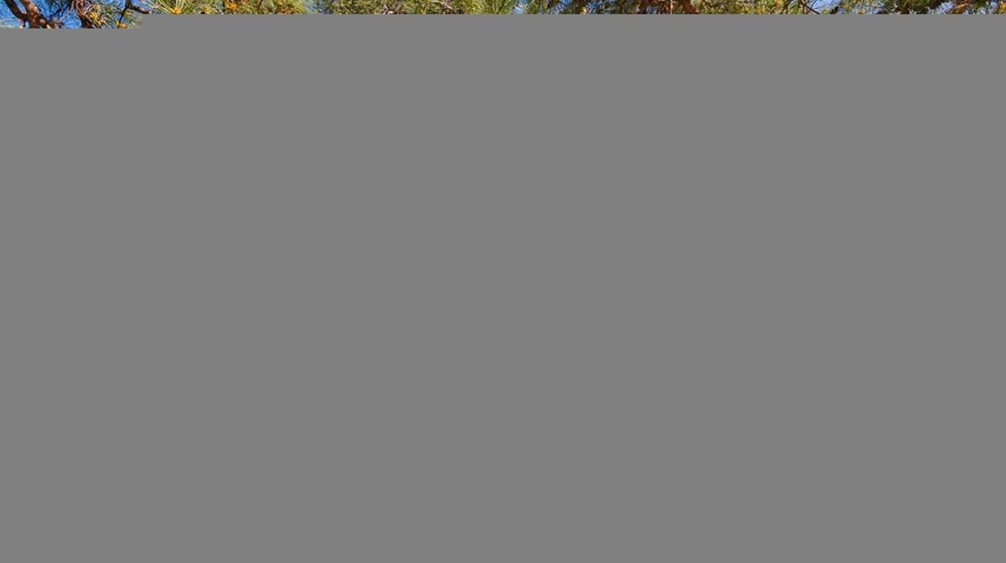 Taman Alam di Istanbul