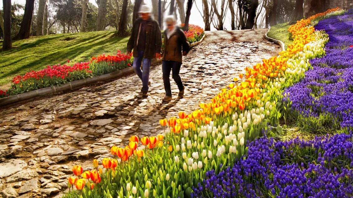 cuaca dan iklim istanbul