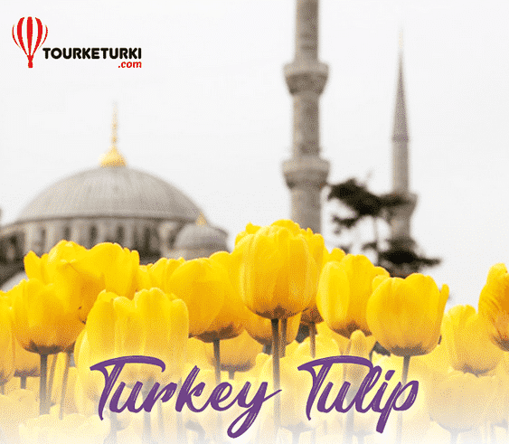 Paket Wisata “10 D TURKEY TULIP FESTIVAL” April 2019